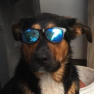 Meet your Posher, Robert